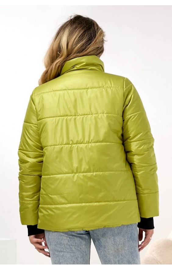 Куртка весна (48-58) Еллі без капюшона