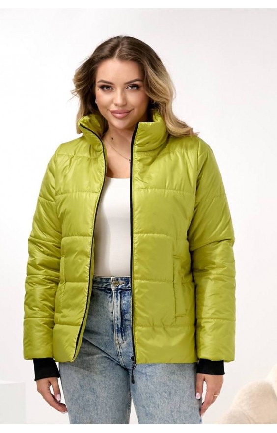 Куртка весна (48-58) Еллі без капюшона