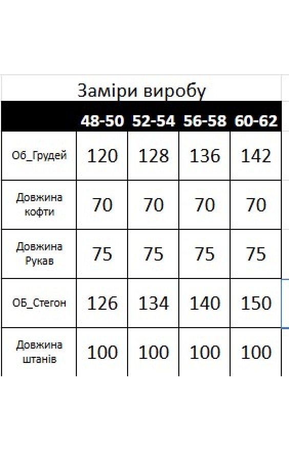 Теплий костюм на флісі Iris (рр 48-62)