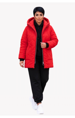 Куртка SIZE+ осынь (рр 48-62) Канада 