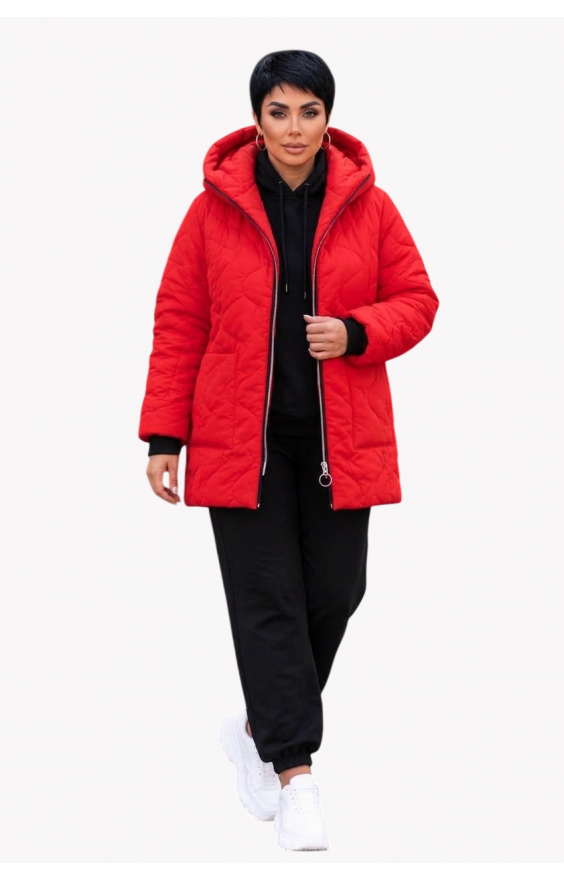Куртка SIZE+ осынь (рр 48-62) Канада 