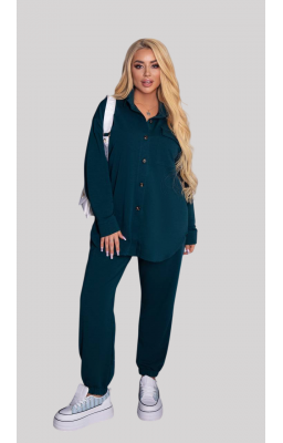 Жіночий прогулянковий Костюм великого розміру  FD-1906 
