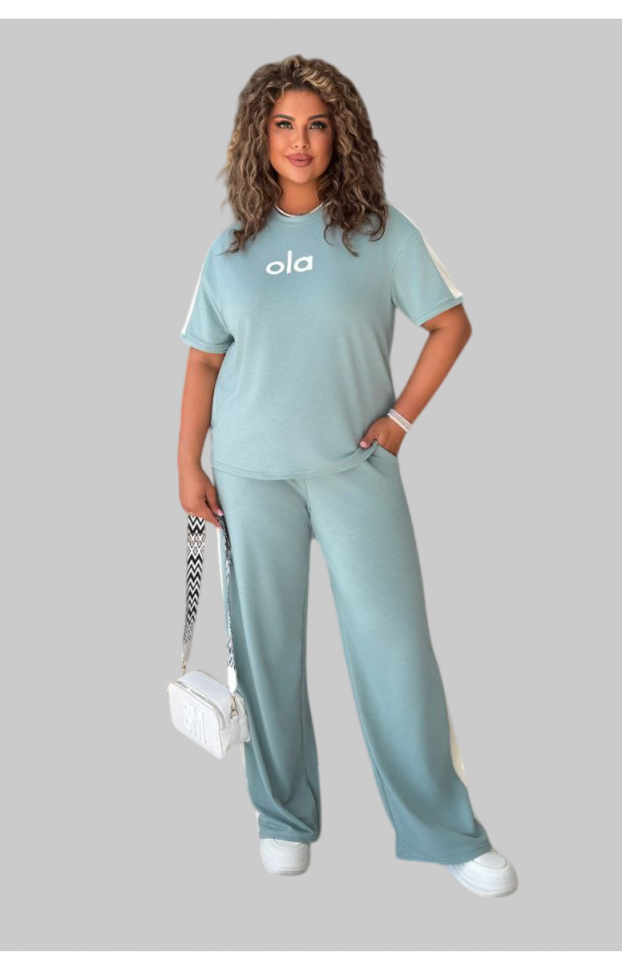 Прогулянковий костюм Suena (рр 46-56) батал